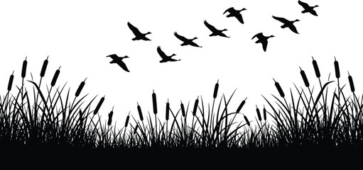 Black silhouette of geese flying over cattails and grass birds © Olaja Vector Vision