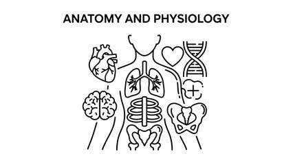 Obraz premium Anatomy and Physiology Line Art: Human Body Organs, DNA, Skeleton