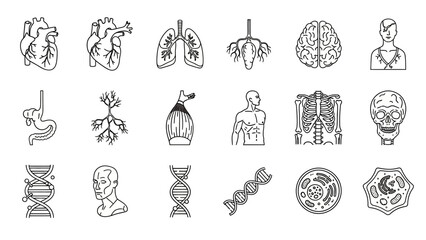 Human Anatomy and Biology Icons: Heart, Lungs, Brain, Skeleton, DNA, Cell