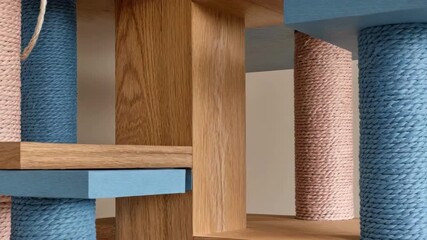 Medium shot of a sleek customizable pet shelf showcasing unique storage options and playful pet accessories