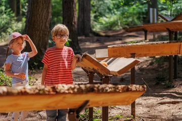 Fotobehang Muziek Children playing wooden marble run in a sunny summer forest  © Sergey Novikov