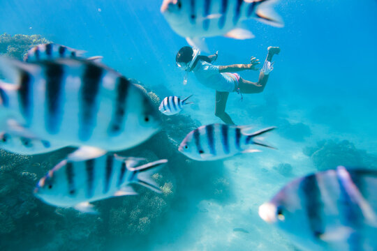 Woman swimming underwater with tropical fishes