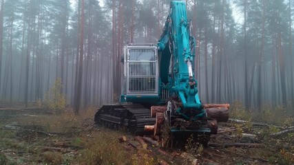 Semiautomated harvesters operated by skilled workers carefully select and fell trees blending human control with mechanical precision in forestry management.