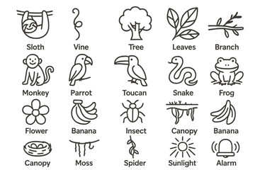 Rainforest Adventure Icons. Line style icons of rainforest adventure: Sloth, Vine, Tree, Leaves, Branch, Monkey, Parrot, Toucan,