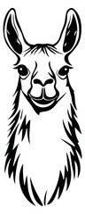 Obraz premium Stylized line art illustration of a llama head depicting a friendly face for animal-themed designs