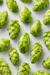 Obraz premium Symmetrically Arranged Isolated Hops on Seamless Background
