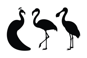 Fototapeta premium Exotic bird silhouettes including flamingo and peacock
