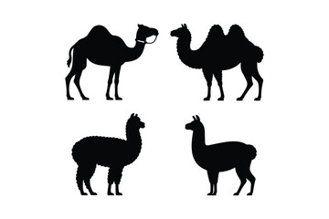 Obraz premium Camelid silhouettes including camels llamas and alpacas