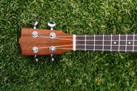 A classic brown acoustic ukulele with white wooden strings rests on the green grass like a folk musical instrument ready to play a jazz and rock music concert