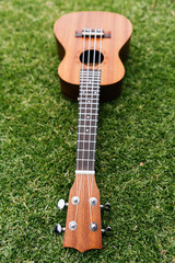 A classic brown acoustic ukulele with white wooden strings rests on the green grass like a folk...