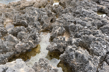 Rocky shoreline with shallow water pools.. Palma de Mallorca, Spain