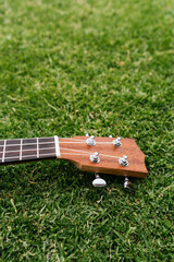 A classic brown acoustic ukulele with white wooden strings rests on the green grass like a folk...