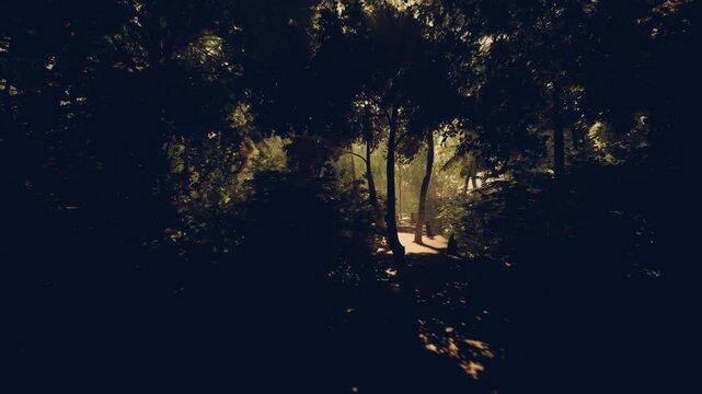 deep forest corridor with sunlight casting dappled shadows across leafstrewn path, dense ferns and quiet atmosphere suggesting secretive escape and slow wander