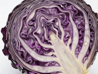 Obraz premium Macro close-up of a purple cabbage cut in half, revealing spiraling layers and vibrant violet and pale veins