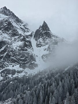 Dramatic Snowy Peak of Mnich Mountain in Fog and Spruce Forest