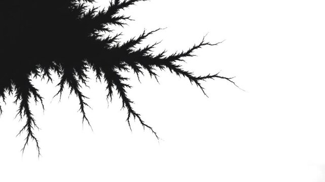 Organic black ink blot grows into a complex fractal tree-like structure on a white background