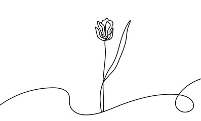 Continuous line tulip drawing for Mother's Day cards. Minimalist floral sketch with elegant outline style, ideal for modern moms greeting designs, botanical art prints.