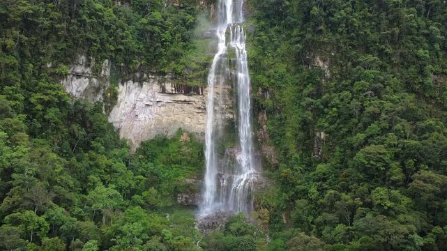 Catarata en bosque amaz&oacute;nico