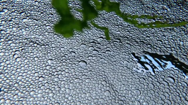 Bottom-up view, air bubbles in white foam on the surface of freshwater flowing from underground springs into the Black Sea