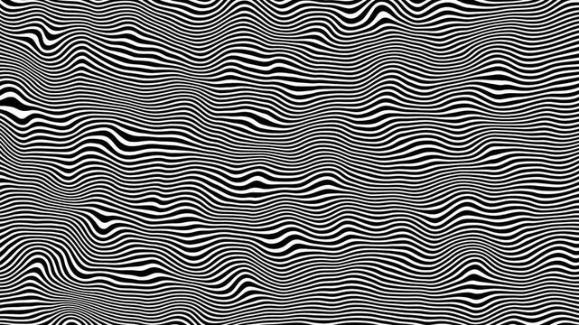 Black and white abstract wavy and curvy lines pattern seamless loop copy space background loop animation.