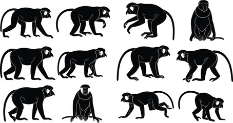 Collection of black monkey silhouette illustrations showing walking sitting climbing and jumping poses isolated on white background wildlife primate animal vector setCollection. © Shariyar Pantho