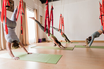Women practicing aerial adho mukha svanasana in yoga class