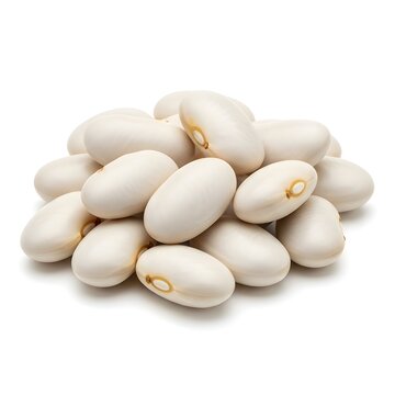Collection of white beans