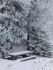 Snowy Picnic Table in Winter Wonderland A Serene Forest Escape Landscape Photography