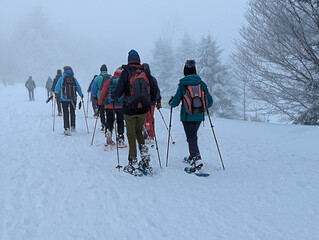 Group of People Snowshoeing Through a Snowy Landscape on a Foggy Winter Day, Recreational Activity