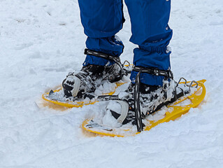 Snowshoes on Snowy Terrain Winter Adventure and Outdoor Recreation in Cold Climate