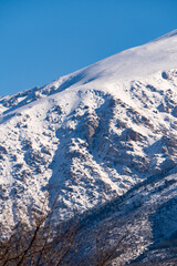 Looking up at a steep mountain slope blanketed in fresh white snow with bare tree branches in the foreground under a clear blue winter sky in the remote alpine wilderness landscape area
