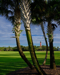 The beautiful Jupiter island lighthoise seen through the fabulous palm trees on the Florida coast © Jorge Moro
