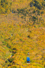 日本の風景・秋　紅葉の立山黒部アルペンルート　絶景の大観峰