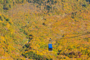 日本の風景・秋　紅葉の立山黒部アルペンルート　絶景の大観峰