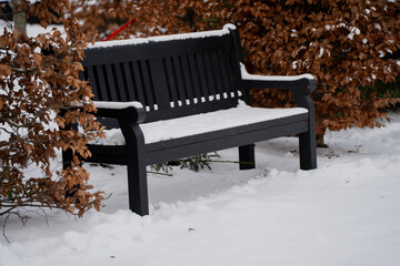 Black park bench partly buried in snow beside dried brown shrub leaves, minimalist winter landscape with empty seating and soft natural light outdoors