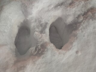Human footprints in fresh white snow creating a minimal winter texture. Cold outdoor surface with walking tracks and seasonal atmosphere.