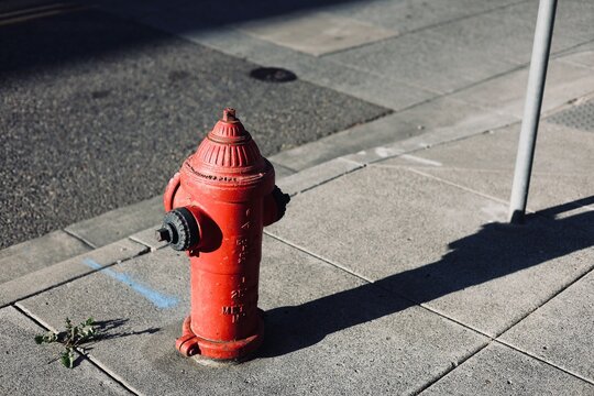 fire hydrant in the street