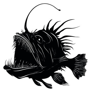 Line art illustration of an anglerfish depicting a formidable deep-sea predator for marine biology and nature designs