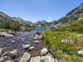 Pirin Mountain near Popovo Lake, Bulgaria