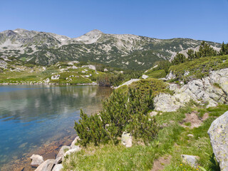 Pirin Mountain near Popovo Lake, Bulgaria