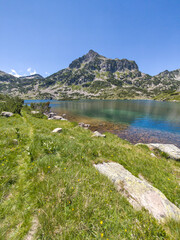 Pirin Mountain near Popovo Lake, Bulgaria