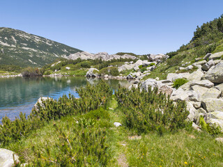Pirin Mountain near Popovo Lake, Bulgaria