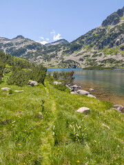 Pirin Mountain near Popovo Lake, Bulgaria