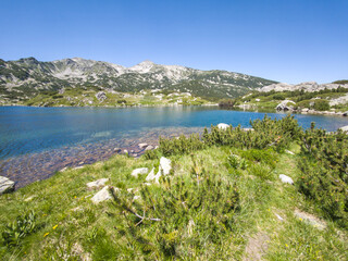 Pirin Mountain near Popovo Lake, Bulgaria