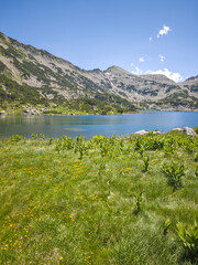 Pirin Mountain near Popovo Lake, Bulgaria