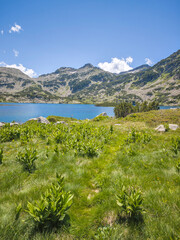 Pirin Mountain near Popovo Lake, Bulgaria