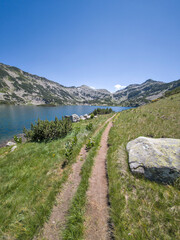 Pirin Mountain near Popovo Lake, Bulgaria