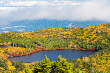 日本の風景・秋　長野県佐久穂町　紅葉の北八ヶ岳　高見石からの眺望