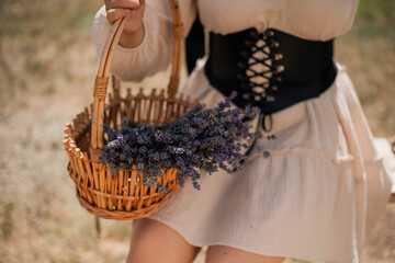 Woman holds basket of lavender flowers while sitting in a field during sunny afternoon hours