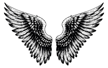 Obraz premium Hand drawn line art illustration of wings depicting freedom for design projects